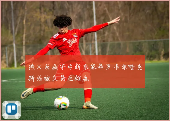 热火或成字母新东家希罗韦尔哈克斯或被交易至雄鹿